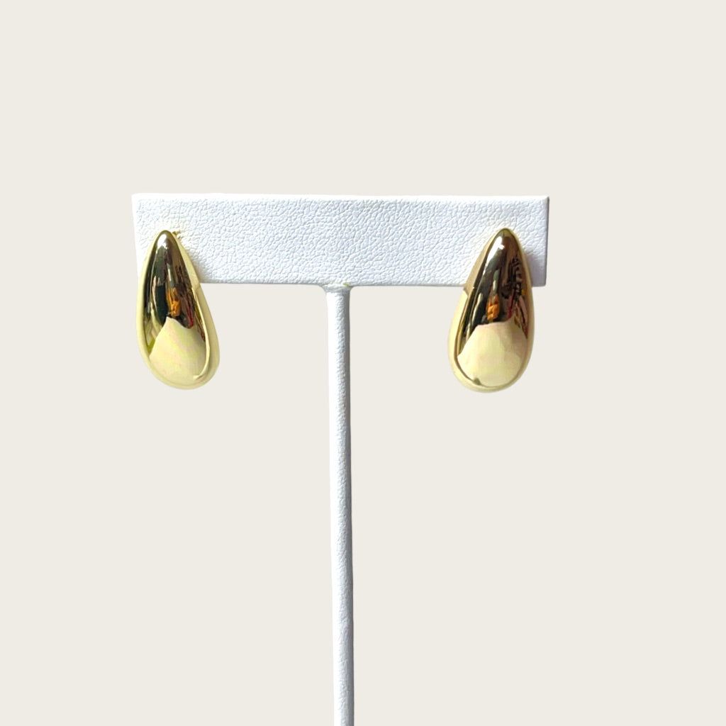 Tarnish Free Earrings